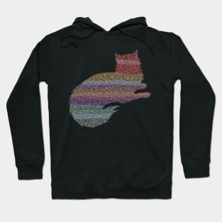 Rainbow Glitter Cat Hoodie